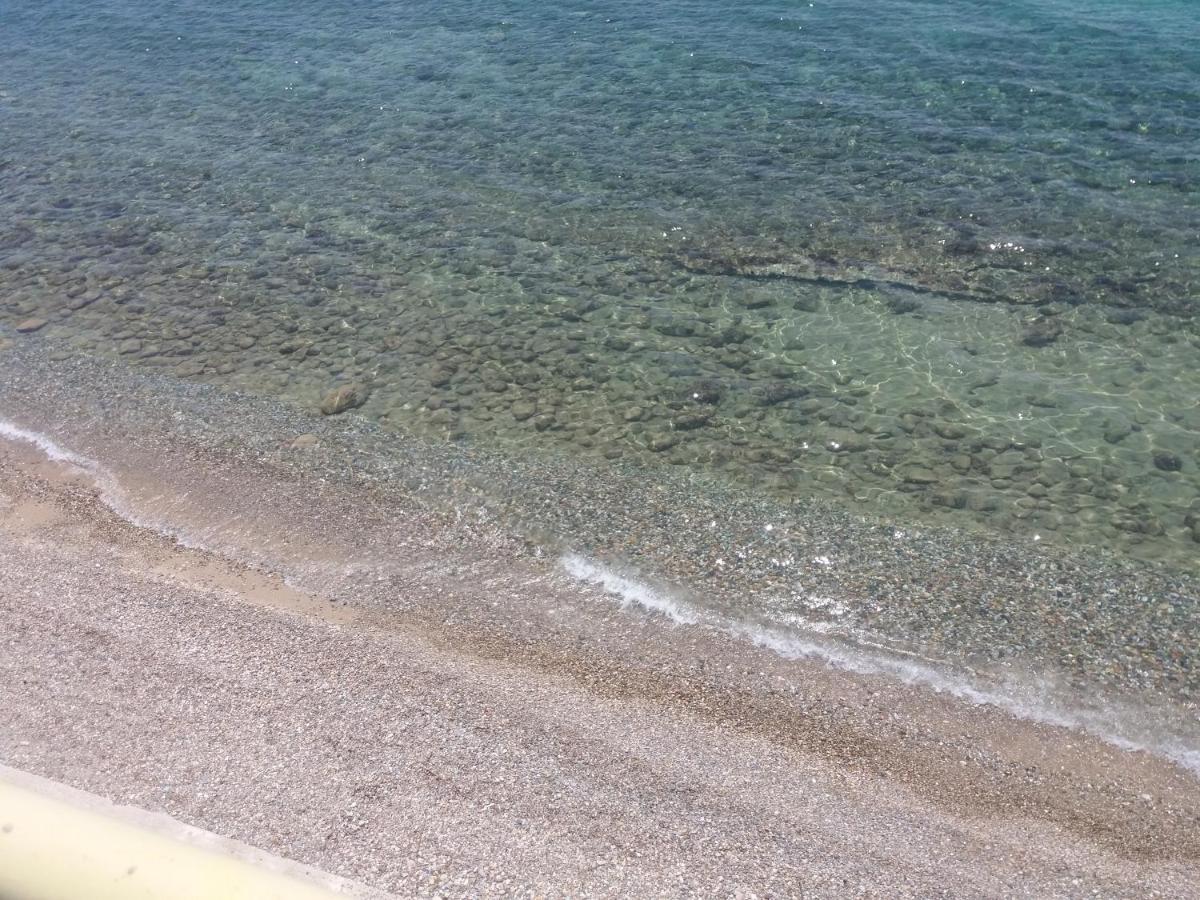 شقة Seaside أغيا باراسكيفي المظهر الخارجي الصورة